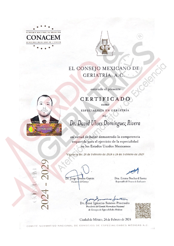 Mesa de trabajo 1_4@72x-100