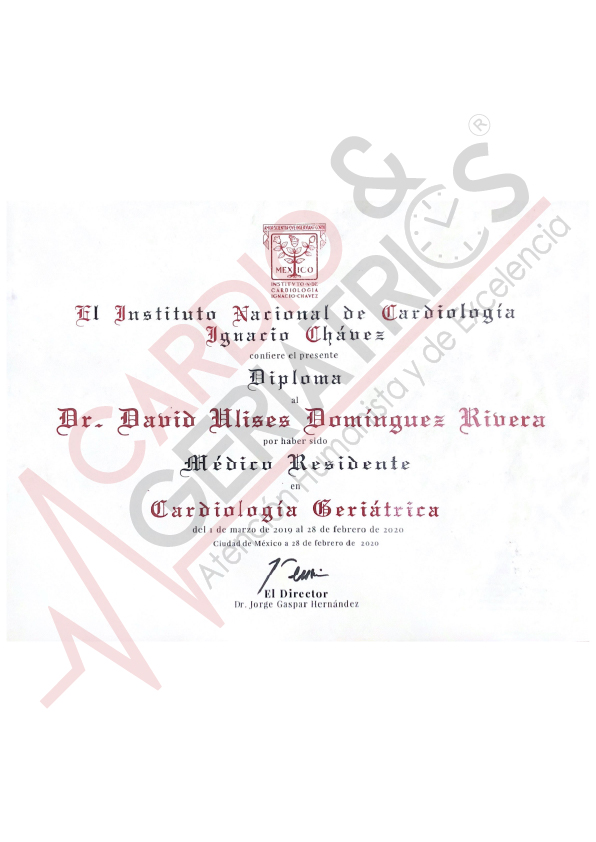 Mesa de trabajo 1_5@72x-100